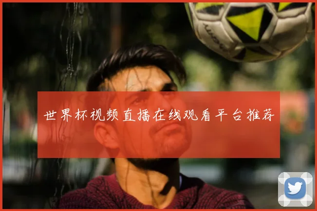 世界杯视频直播在线观看平台推荐