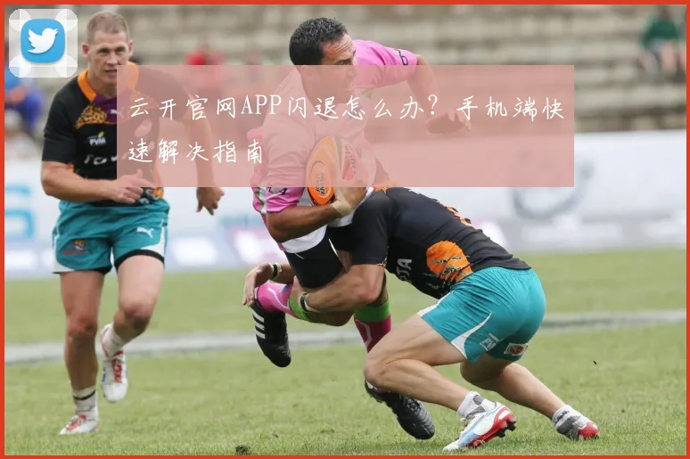 云开官网APP闪退怎么办？手机端快速解决指南