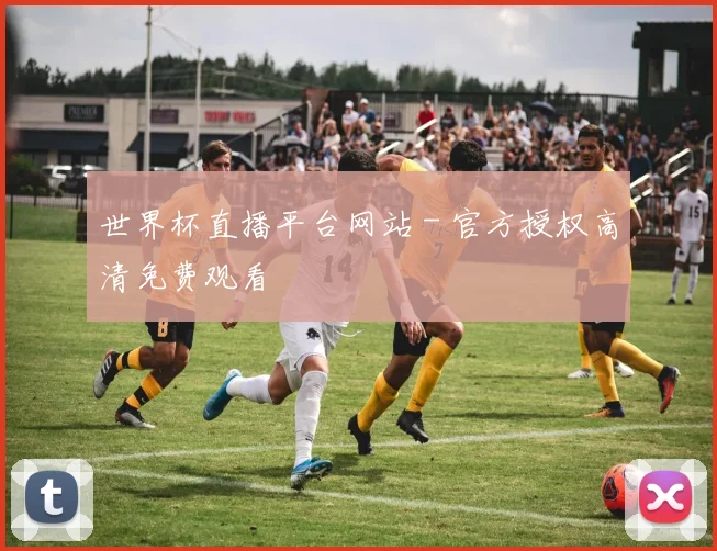 世界杯直播平台网站 - 官方授权高清免费观看