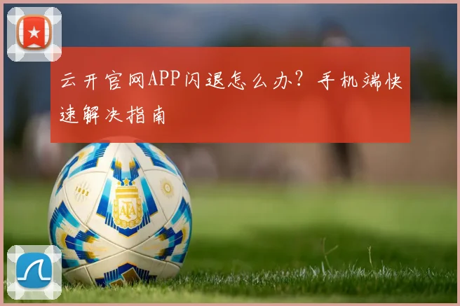 云开官网APP闪退怎么办？手机端快速解决指南
