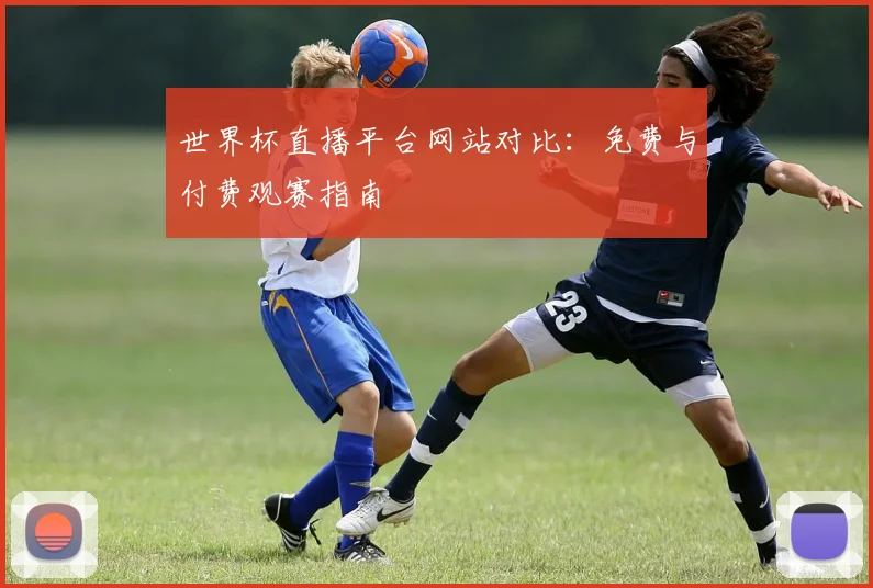 世界杯直播平台网站对比：免费与付费观赛指南